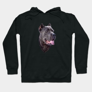 Cane Corso Dog Hoodie